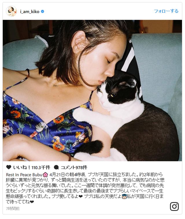 水原希子、愛猫ブブの死を報告「胸が痛くなる」ファン続出