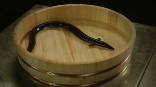 野沢雅子、うなぎの声に初挑戦！かば焼きになるうなぎ