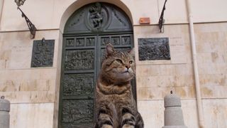 劇場版「世界ネコ歩き」ネコだらけの予告編！ナレーションは吉岡里帆