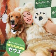 ゆりやんレトリィバァ、得意の英語で犬の通訳に