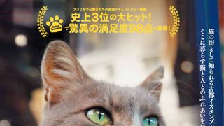 全米で1館→130館の大ヒット猫ドキュメンタリーが11月公開