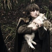 ハスキー犬を興味本位で買わないで!「ゲーム・オブ・スローンズ」俳優ファンにお願い