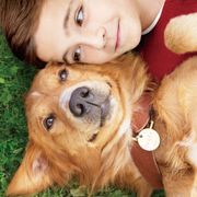 犬、強し!犬映画がヒットスタート