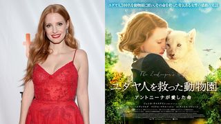ジェシカ・チャステイン、11月に初来日!ユダヤ人300名を救った実話原作の映画で