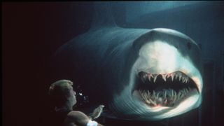 なぜサメ?映画で愛されるサメ