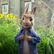 ハリウッド実写版『ピーターラビット』5月日本公開!
