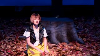 沢尻エリカ&吉沢亮『猫は抱くもの』水曜日のカンパネラが初の劇伴!