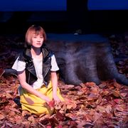 沢尻エリカ&吉沢亮『猫は抱くもの』水曜日のカンパネラが初の劇伴!