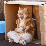 キスマイ北山宏光、ニャンと猫に!『トラさん』衝撃のシーン写真