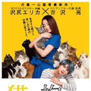 沢尻エリカと吉沢亮の泣き顔が美しすぎる!『猫は抱くもの』特報映像