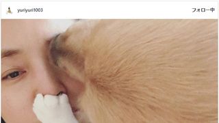 石田ゆり子、踏まれて舐められて？猫犬ぎゅぎゅうの寝起きショットに反響