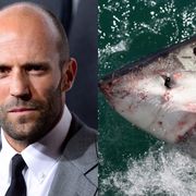 ジェイソン・ステイサム、サメ映画の役づくりで巨大ザメと泳ぐ!