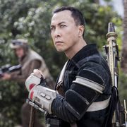 ドニー・イェン、ディズニー実写版『ムーラン』に出演!