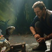 愛らしい赤ちゃんラプトル登場!『ジュラシック・ワールド』続編、新映像