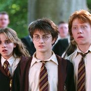 人ごみが苦手のアナタへ!GWにこそイッキ観したい「シリーズ映画」