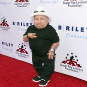 『オースティン・パワーズ』ミニ・ミー役、ヴァーン・トロイヤーさん死去 49歳