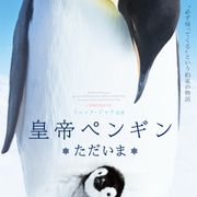 『皇帝ペンギン』続編8月公開!かわいいだけではない真の姿