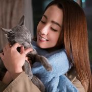 沢尻エリカ&吉沢亮がダンス!犬童一心『猫は抱くもの』予告編