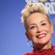 シャロン・ストーン、新作映画で悪名高い社長に 『ハングオーバー』俳優と共演