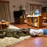 榮倉奈々が死んだふり!ワニに喰われる『妻ふり』本編映像