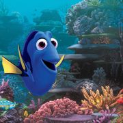 今夜の金ロー『ファインディング・ドリー』家族と仲間の絆を描く
