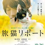 福士蒼汰とツンデレ猫のじゃれあい!『旅猫リポート』予告編