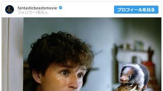 『ファンタビ』新作に赤ちゃんニフラー登場!