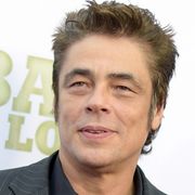 B・デル・トロ、O・ストーン監督の新作で主演