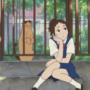 今夜の金ローは『猫の恩返し』かわいい猫がたくさん