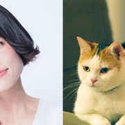 沢城みゆき、前野智昭が猫・犬に!福士蒼汰主演『旅猫リポート』