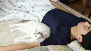 東出昌大とニャンコのほっこりNG…『寝ても覚めても』メイキング映像