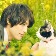 福士蒼汰主演『旅猫リポート』など注目作8選!