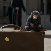 『ファンタビ』新作、赤ちゃんニフラーも登場!魔法動物が大活躍する新予告!