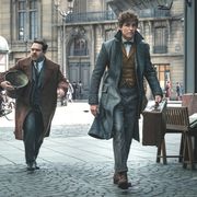 日本の妖怪カッパが『ファンタビ』出演権を得た経緯!監督が明かす