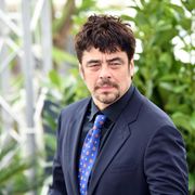 ベニチオ・デル・トロ「ドーラといっしょに大冒険」実写版の声優キャストに!