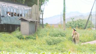 「いだてん」綾瀬はるか、列車と自転車並走はリハなし＆一発撮り！