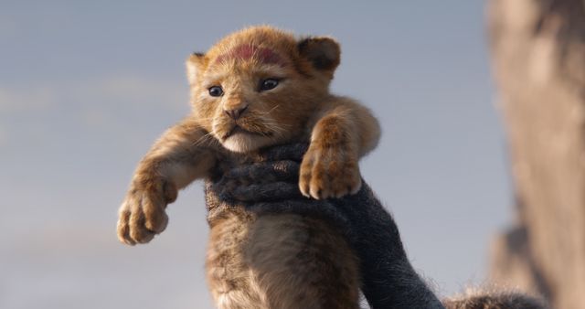 お馴染みのキャラクターが多数登場!(写真は映画『ライオン・キング』より)
