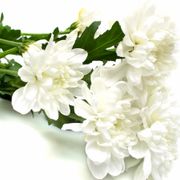 「子連れ狼」「修羅雪姫」小池一夫さん肺炎のため死去