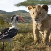 未来の王、シンバよ…『ライオン・キング』日本版予告編公開