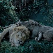 『ライオン・キング』なぜ今“超実写版”なのか?ドナルド・グローヴァー語る