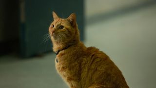 『キャプテン・マーベル』猫のグースは80%がCG VFX監修が明かす裏側