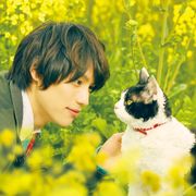 あの人気声優も出演!福士蒼汰主演『旅猫リポート』金ローで今夜