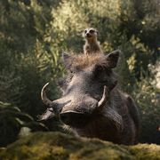 ティモン&プンバァが可愛すぎ!『ライオン・キング』アフレコ風景の特別映像!