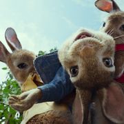 実写版『ピーターラビット』続編、2020年4月公開!