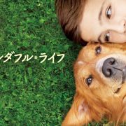 今夜『僕のワンダフル・ライフ』地上波初放送!犬と人間の絆描く感動作