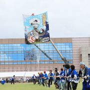 畳42枚分!スター・ウォーズ大凧が空を舞う