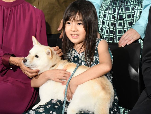 可愛い!新津ちせと柴犬のルー