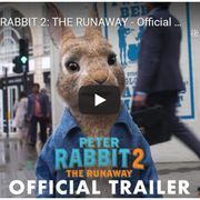 実写版『ピーターラビット2』予告編が公開!今度は街で大暴れ