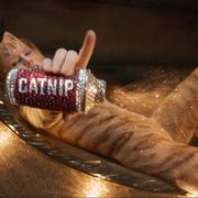 テイラー・スウィフトが猫化!映画『キャッツ』本編シーン