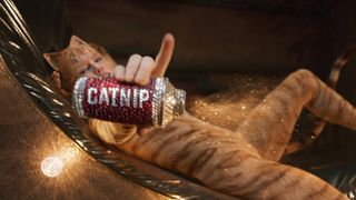 テイラー・スウィフトが猫化!映画『キャッツ』本編シーン